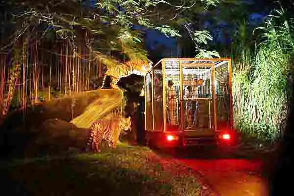 night safari night safari